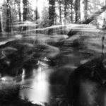 Forest Stream - Alexander Popov - thumb